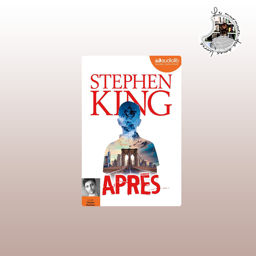 You are currently viewing Chronique – Après de Stephen King