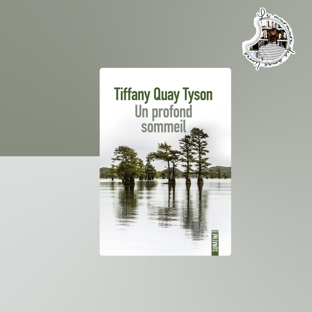Lire la suite à propos de l’article Chronique – Un profond sommeil de Tiffany Quay Tyson
