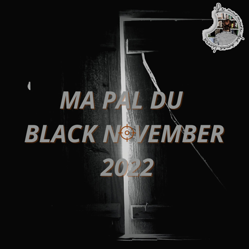 Lire la suite à propos de l’article Ma PAL du Black November 2022