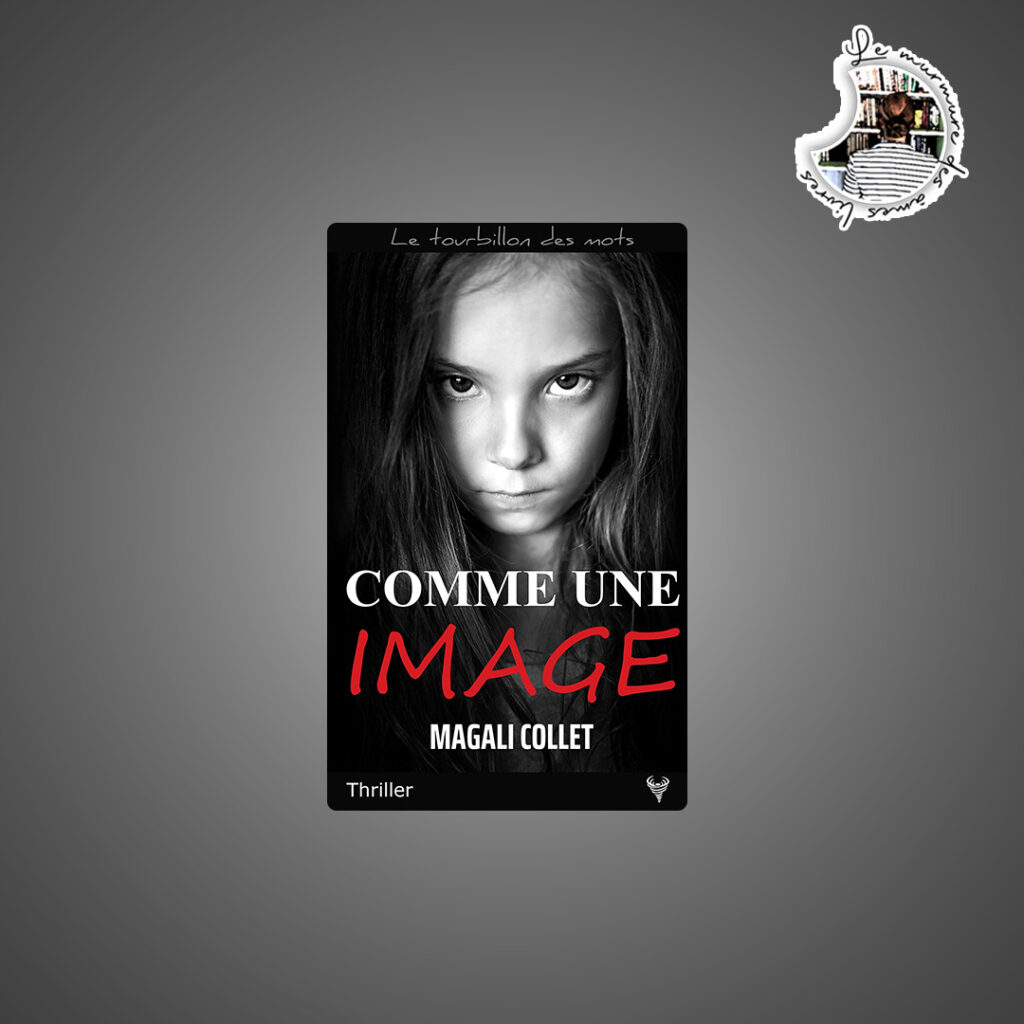 Lire la suite à propos de l’article Chronique – Comme une image de Magali Collet