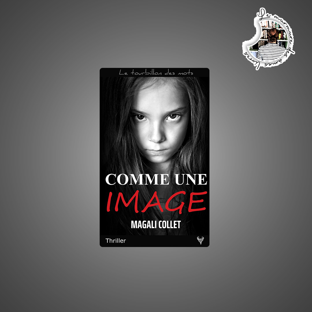 You are currently viewing Chronique – Comme une image de Magali Collet