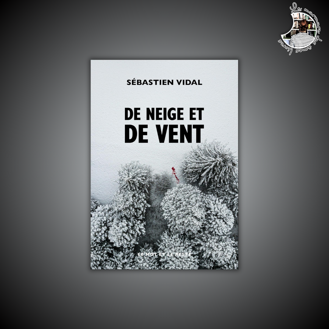 Lire la suite à propos de l’article Chronique – De neige et de vent de Sébastien Vidal